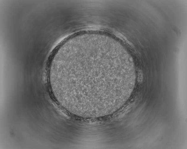 X0000111011208200907311044
