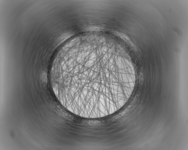 X0000111011209200907311044