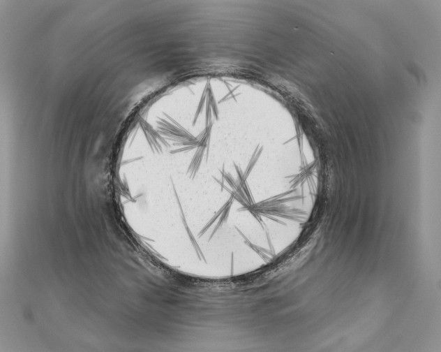 X0000111011210200907311044
