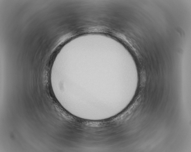 X0000111011211200907311044