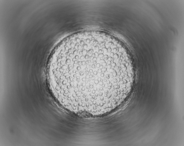 X0000111011212200907311044