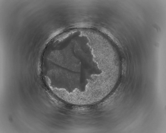 X0000111011213200907311044