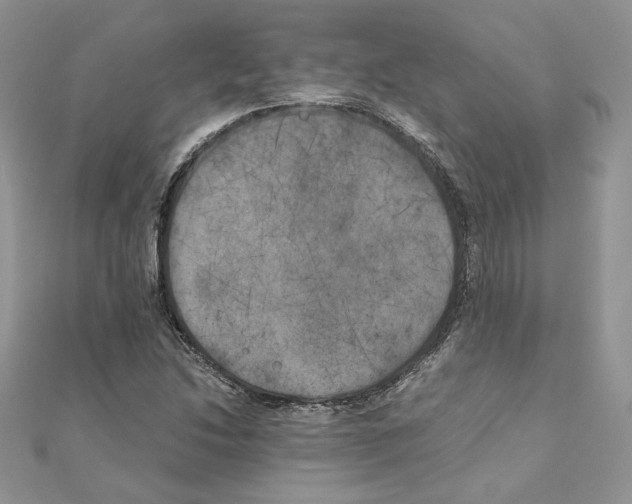 X0000111011214200907311044