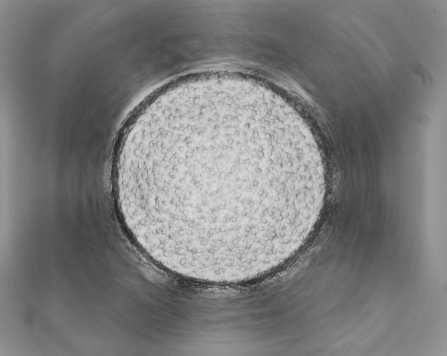 X0000111011216200907311044