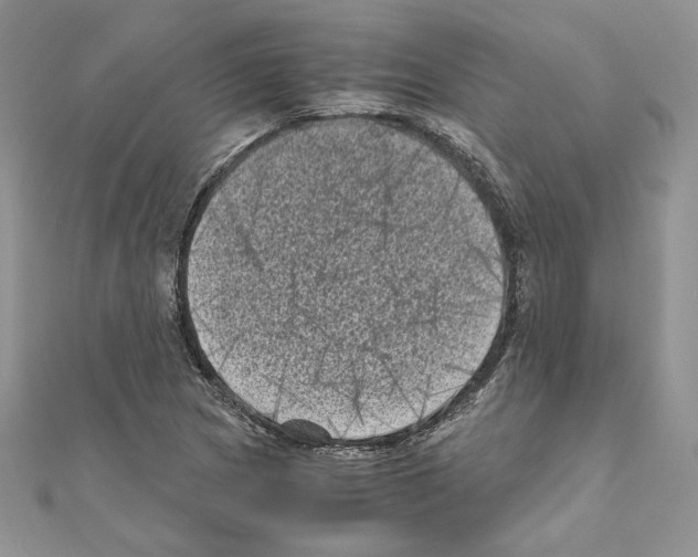 X0000111011217200907311044