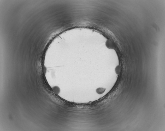 X0000111011218200907311044