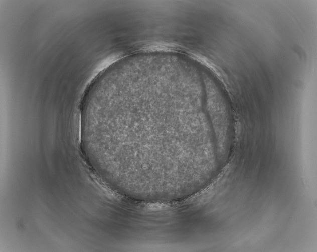 X0000111011219200907311044