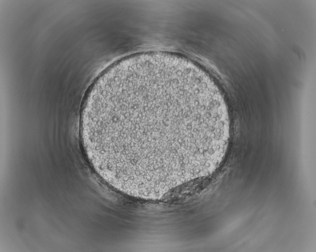 X0000111011220200907311044