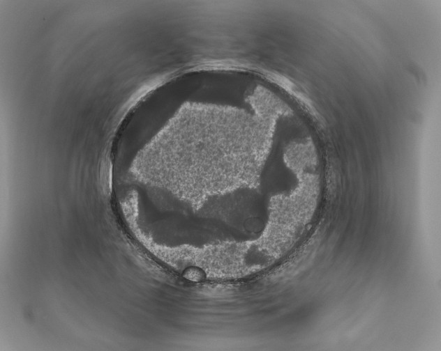 X0000111011221200907311045