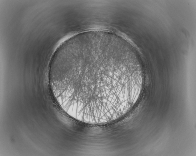 X0000111011222200907311045