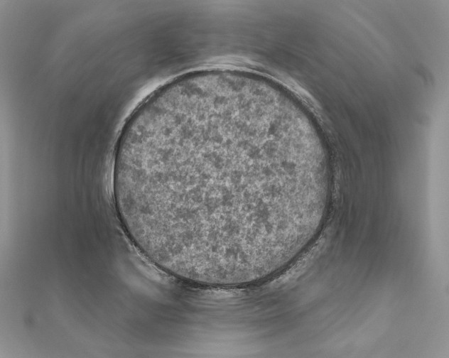 X0000111011224200907311045