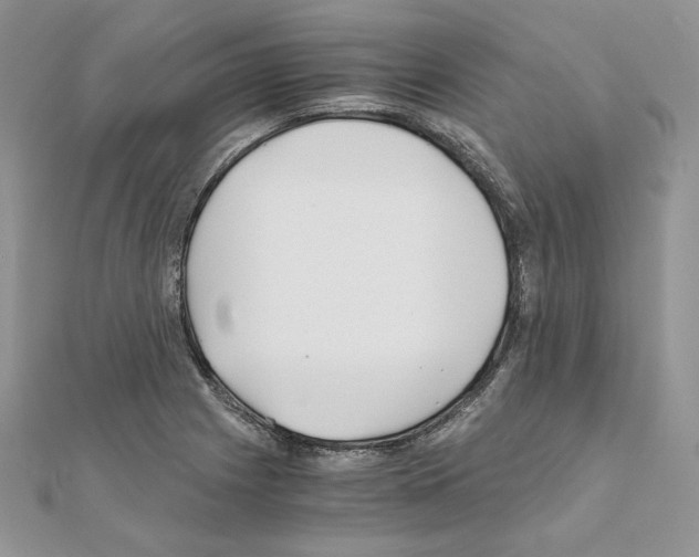 X0000111011225200907311045