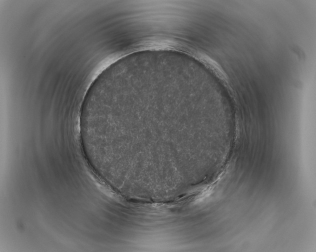 X0000111011226200907311045