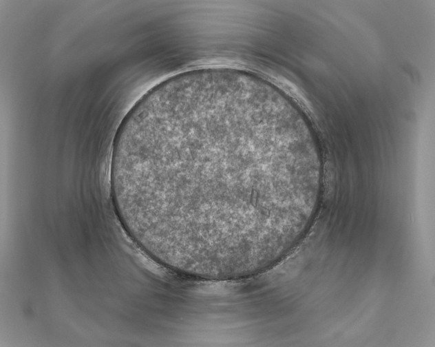 X0000111011228200907311045