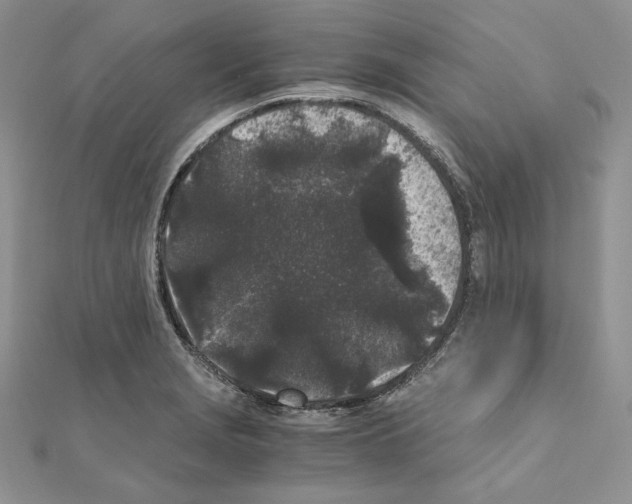 X0000111011229200907311045