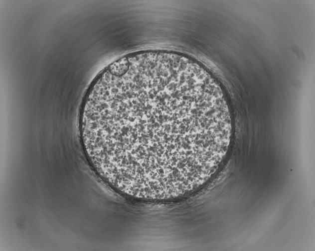 X0000111011230200907311045