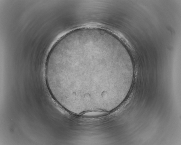 X0000111011232200907311045