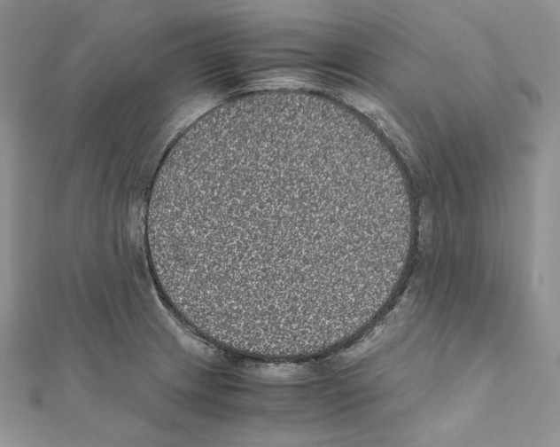 X0000111011233200907311045