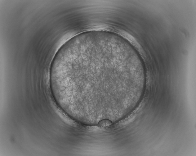 X0000111011234200907311045