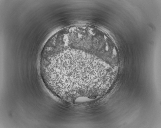 X0000111011235200907311045