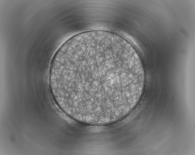 X0000111011236200907311045