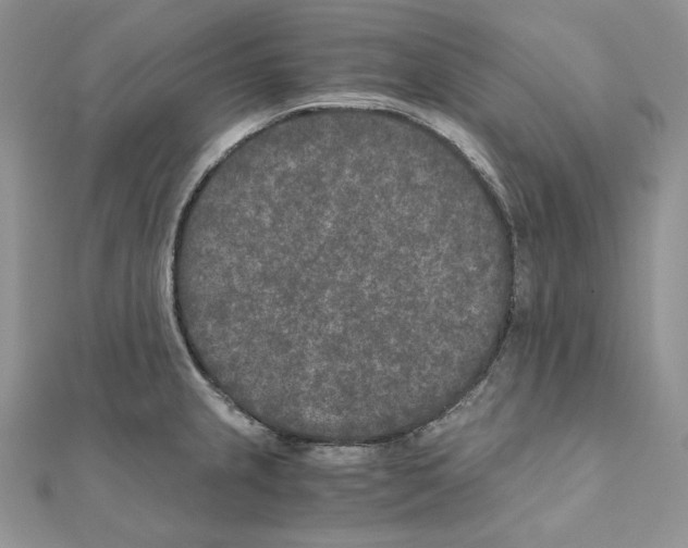 X0000111011237200907311045