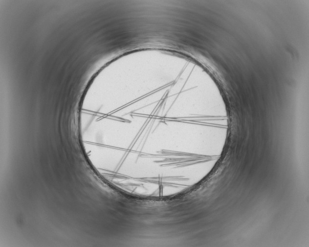 X0000111011238200907311045