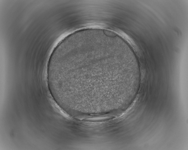 X0000111011240200907311045