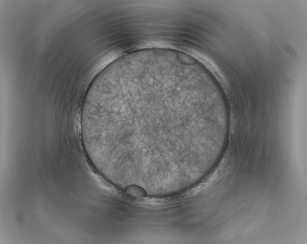 X0000111011241200907311045