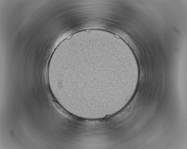 X0000111011242200907311045