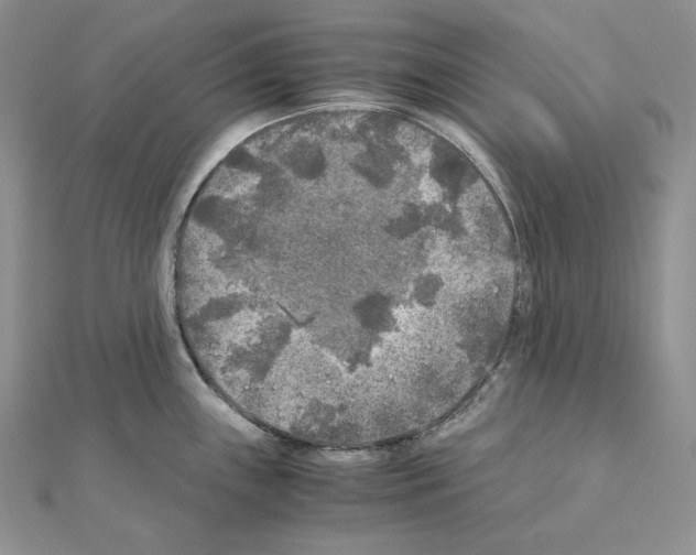 X0000111011243200907311045