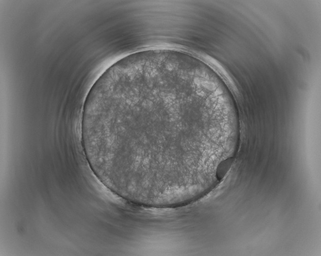 X0000111011244200907311045