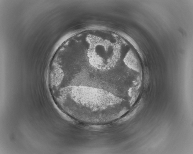 X0000111011245200907311045