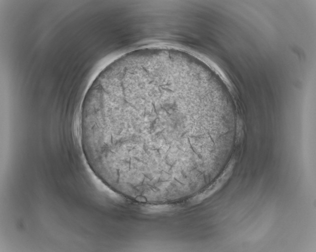 X0000111011247200907311045