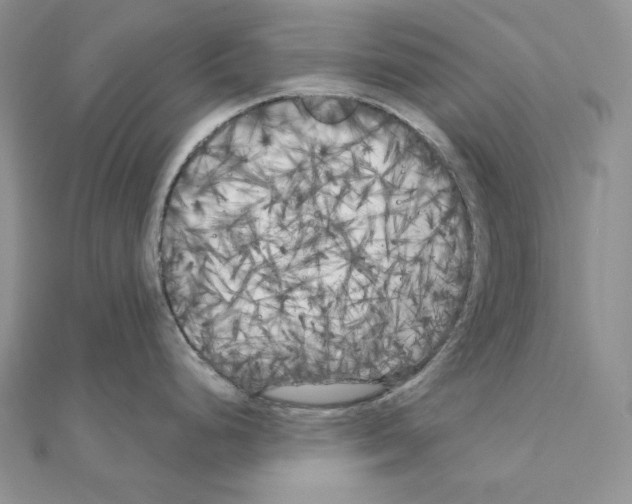 X0000111011248200907311045