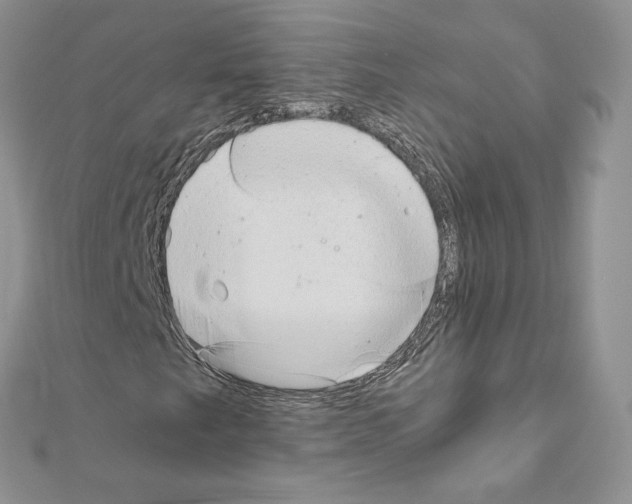 X0000111011249200907311044