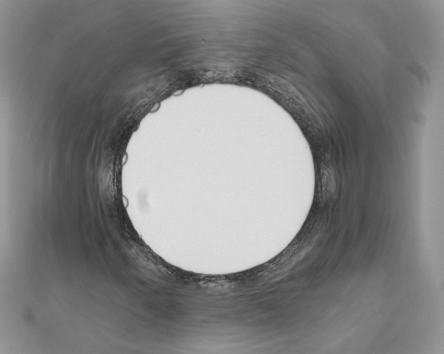 X0000111011250200907311044