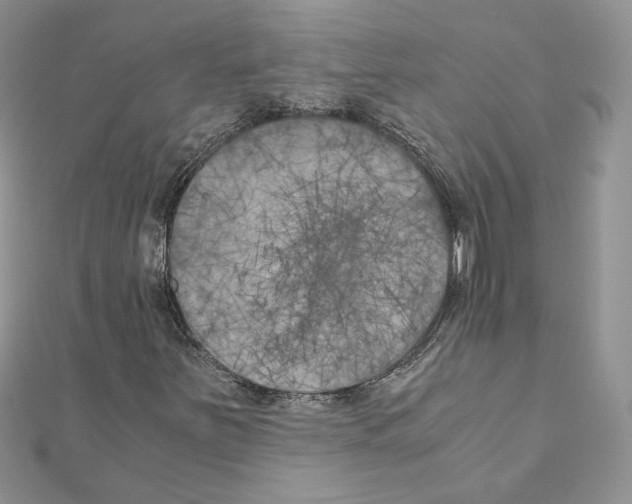 X0000111011251200907311044