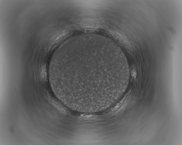 X0000111011252200907311044