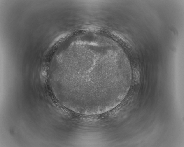 X0000111011254200907311044