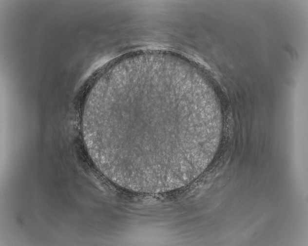 X0000111011255200907311044