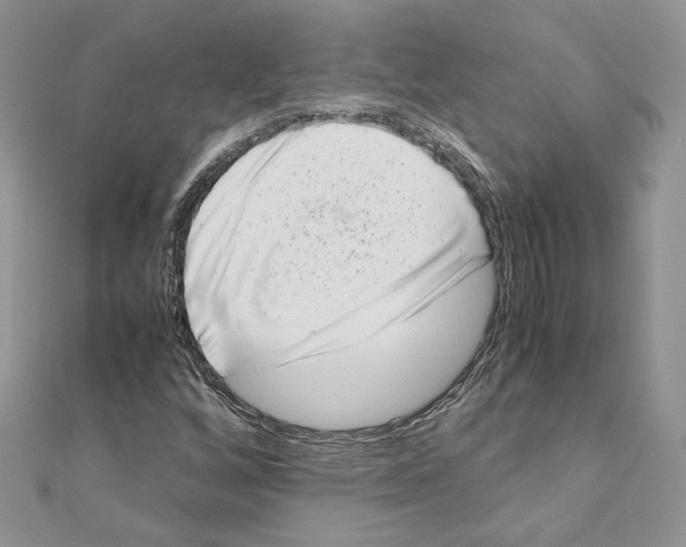 X0000111011256200907311044