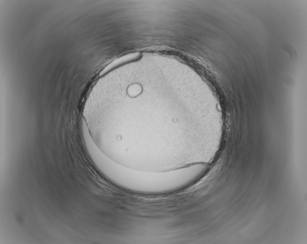 X0000111011257200907311044