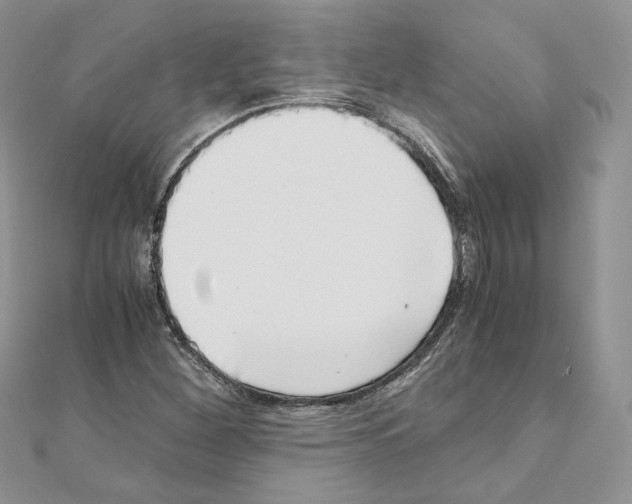 X0000111011260200907311044