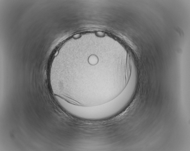 X0000111011261200907311044
