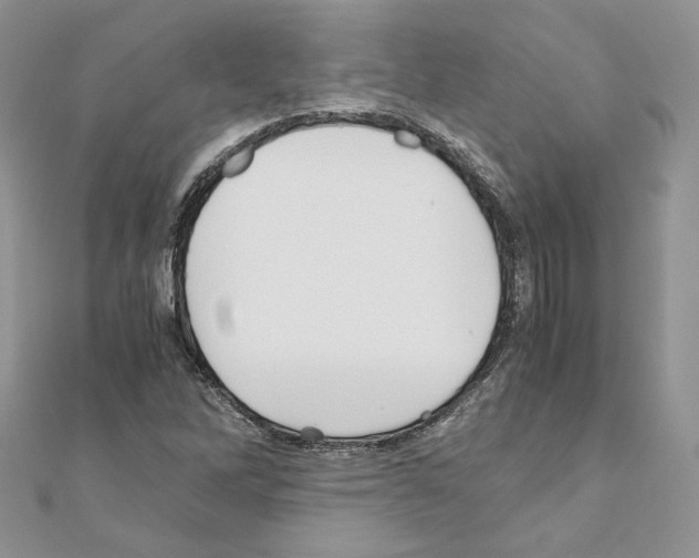 X0000111011262200907311044