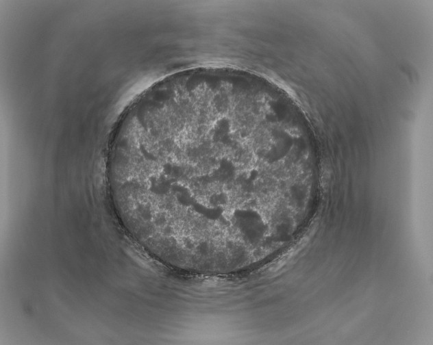 X0000111011263200907311044