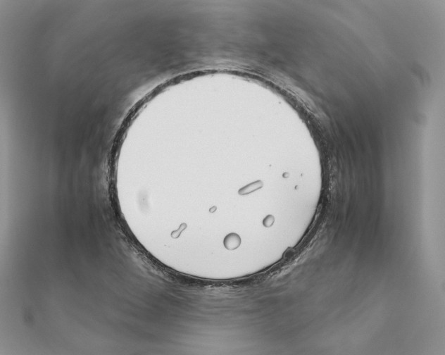 X0000111011264200907311044