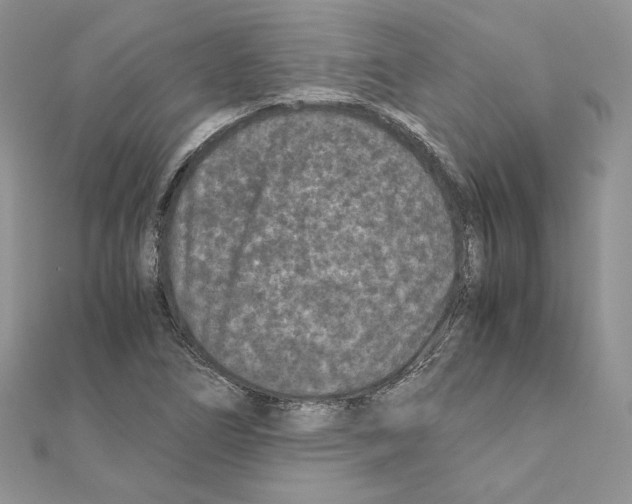 X0000111011266200907311044