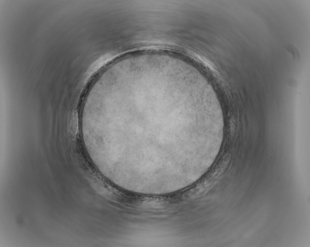 X0000111011267200907311044